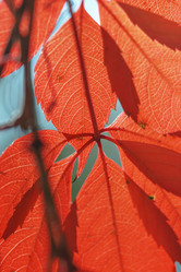 Similar image 8923583