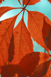 Similar image 8925233