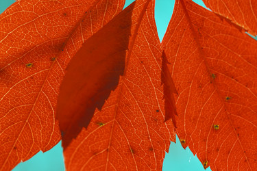 Similar image 8925235