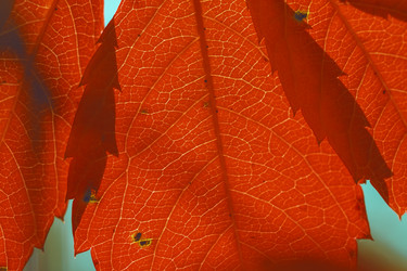 Similar image 8925237