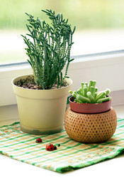 Similar image 8925244