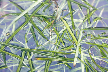 Similar image 8925246