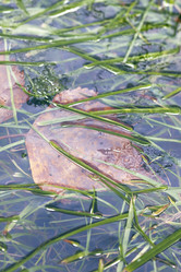 Similar image 8925247