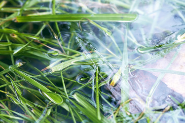 Similar image 8925250