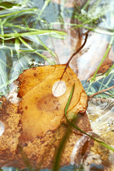 Similar image 8925252