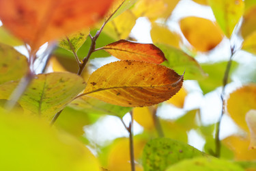 Similar image 8925254