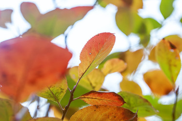 Similar image 8925256