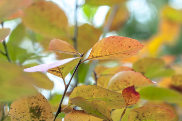 Similar image 8925259