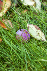 Similar image 8925261