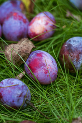 Similar image 8925263