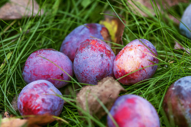 Similar image 8925265