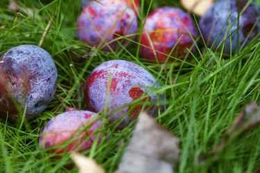 Similar image 8925267