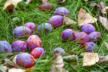 Similar image 8925270