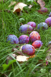 Similar image 8925273