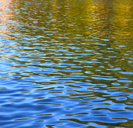 Similar image 8925442