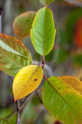 Similar image 8925469