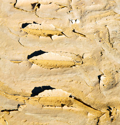 Similar image 8926307