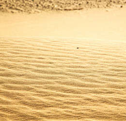 Similar image 8926314