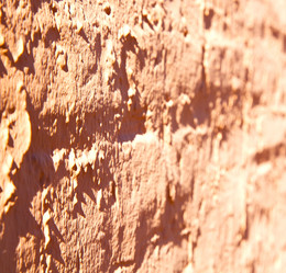 Similar image 8926344