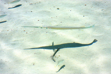 Similar image 8926793