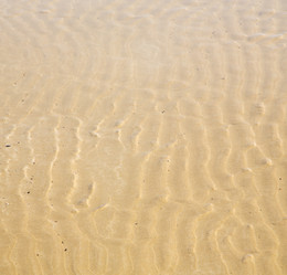 Similar image 8926898