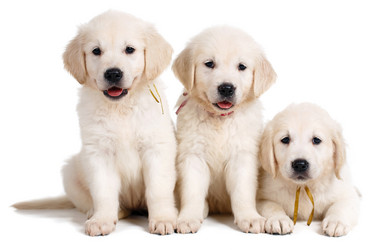 Similar image 8927352