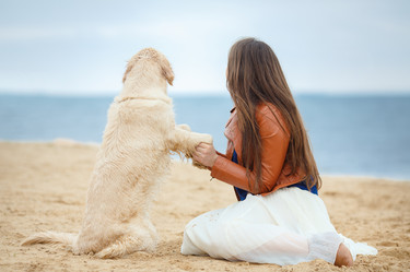 Similar image 8927757