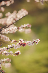 Similar image 8928085