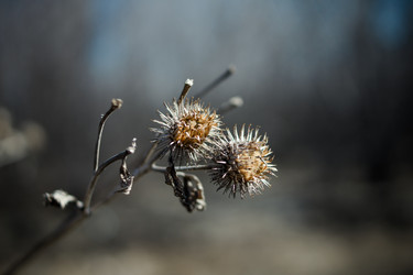 Similar image 8929096