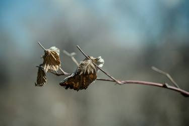 Similar image 8929097