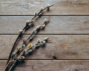 Similar image 8929517