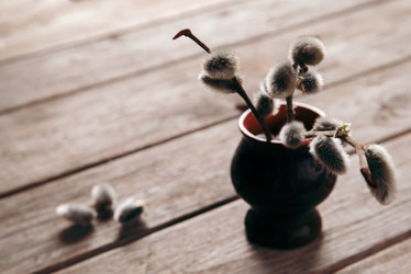 Similar image 8929520