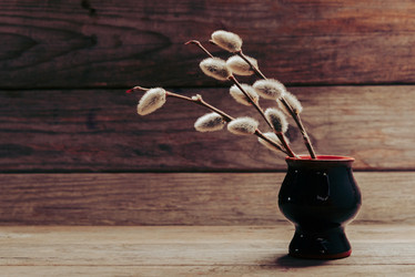 Similar image 8929521