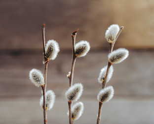 Similar image 8929522