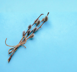 Similar image 8929523