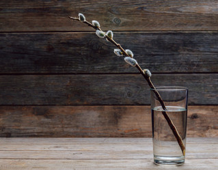 Similar image 8929524