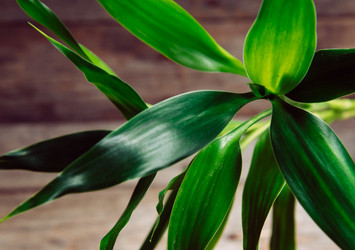 Similar image 8929525