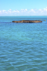 Similar image 8929753