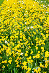 Similar image 8929763