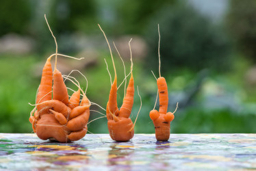 Similar image 8930236