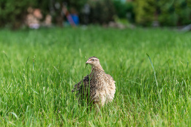 Similar image 8930238