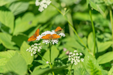 Similar image 8930240