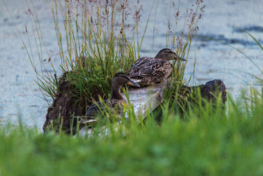 Similar image 8930241