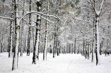 Similar image 8930242