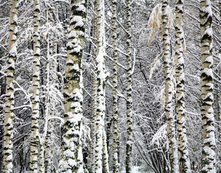 Similar image 8930243