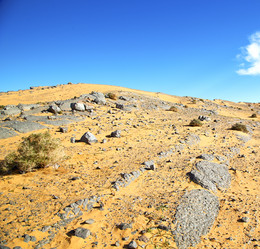 Similar image 8930258