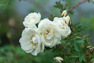 Similar image 8930264