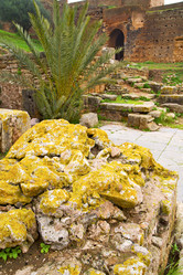 Similar image 8930281