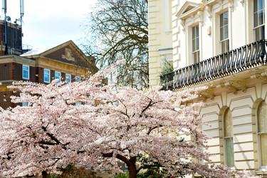 Similar image 8930326