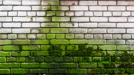 Similar image 8930340